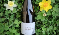 Domaine Truchefaud - Vin Blanc IGP Drôme - Les Vignes du Moulin