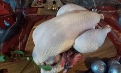 Les poulets de la Marquise - [Précommande] Poularde fermière - moyenne - 2,5kg minimum