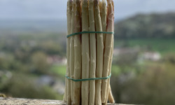 Les Asperges et Framboises du Soissonnais - Asperges Fines