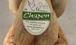 Famille Mille - Le Maraudeur - Ferme de Maleterre - [Précommande] Le Petit Chapon Plein air de notre ferme, 3,5kg