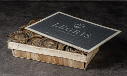 Maison Legris - Huîtres plates TRALEE TG x24