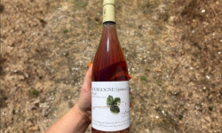 Domaine Céline Coté - Bourgogne Epineuil Rosé 2025