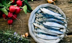 Brest Marée - Sardines - 500g