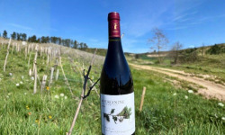 Domaine Céline Coté - Bourgogne Julia 2023