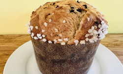 Ferme Sereine en Périgord - Panettone Gourmand Chocolat - recette au beurre - 500g