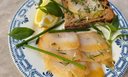 Thalassa Tradition - Haddock – Pêche durable & savoir-faire artisanal