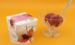 Le Jardinier Glacier - Sorbet Cassis - 550ml