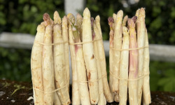 Les Asperges et Framboises du Soissonnais - Asperges second choix