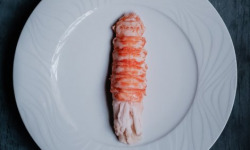 La Maison du Homard - Langouste rose cuite décortiquée