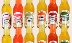 Mama Kombucha - Pack Découverte – 12 bouteilles de Kombucha artisanal bio Mama Kombucha (6 saveurs différentes)