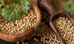 Adal Terra - Epices - Coriandre Bio (en poudre) 60G