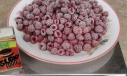 LES JARDINS DE KARINE - Framboise surgelée - 500g