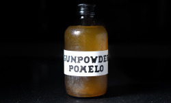 Vivant Kombucha - Kombucha Thé vert Gunpowder Pomelo Bio x6