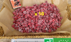 LES JARDINS DE KARINE - Framboise surgelée -10kg