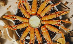 Famille Guezel - Langoustines cuites 1kg