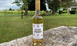 Vignobles Fabien Castaing - Jus de Raisin Blanc 100% Naturel Douceur d'Automne - 75cl