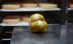 Alléosse Maitre Artisan Affineur Fromager - Scamorza Di Bufala Affumicata