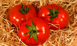 La Ferme de Goas Per - Tomate ronde rouge bio 500gr
