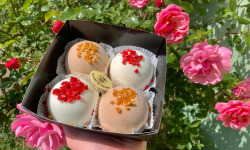 Glaces de Meuse - Noisette & Noix de Coco - Dômes glacés x 4