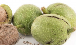 L'OLIVERAIE DU COUDON - NOIX FRAICHE  avec leur brou vert, pour faire du vin de noix ou des confitures 5KG