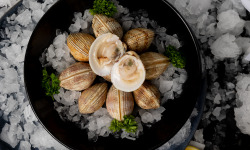 Pêcherie Granvillaise - Praires de la baie de Granville 700g