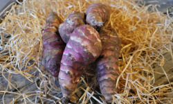Les Jardins de Gérard - Topinambour - 1kg