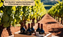 La Fermière - Box Mystère « Pépites Économiques » 4 bouteilles de vin rouge et 2 bouteilles de vin blanc (-15%)