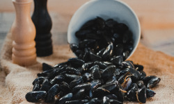 Thalassa Tradition - Moules de Bouchot - 1,6kg