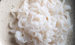 France-Konjac - Tagliatelles de konjac-1kg