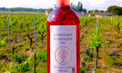 Château Jouvente - Le rosé gastronomique de Jouvente (x3 bouteilles)