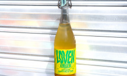 Brasserie L'Indispensable LOVEN Kombucha - Kombucha Citron Menthe & Fire - 3x75cl