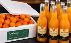 Gobert, l'abricot de 4 générations - [Précommande] 6 kg d'abricots et 8 pétillant abricot 33cl
