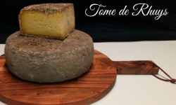 Tome de Rhuys - Ferme Fromagère de Suscinio - Tome De Rhuys Nature- Tome Entière