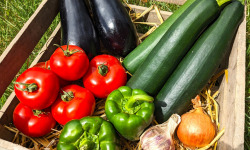 Ferme Joos - Panier Ratatouille 6 pers - 4,5 kg