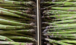 Asperges Guirao - Asperges vertes - 2,5kg - cal 22