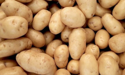 La Coussoyote - Pommes de terre nouvelle - 1kg