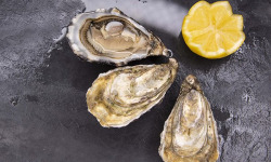 Fine de Cancale - Huîtres de Cancale N°3 - 48 pièces