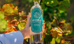 Maison Mounicq - Liqueur de Menthe Bordelaise ROSA