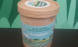 Les Pâturettes de Bodavel - Glace Framboise 480ml