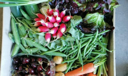 Le Châtaignier - Panier Gourmand de l'été