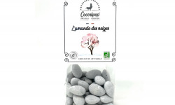 Cocoripop - L'Amande des Neiges
