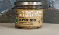 La Belle Ostrea - Rillettes de Dorade, gingembre et yuzu