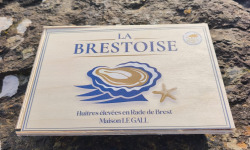 Jean Luc Le Gall Huîtres et Coquillages - Huitres creuses fines N°3  La Brestoise x 48 pièces