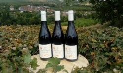 Domaine Doudeau-Leger - Vent d'Ange - Vin de Pays du Val de Loire Rouge IGP 2022 - 3 Bouteilles