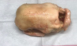 Des Poules et des Vignes à Bourgueil - Canard gras sans tête et cou