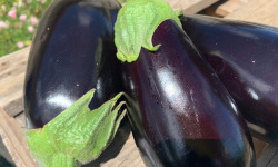ChâteauFer - Aubergines 1kg