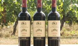 Domaine la Paganie - Vin rouge de Cahors élevé en Barrique - L'Origine 2020 - 3 bouteilles