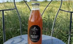 Ferme Saint Joseph - Jus de rhubarbe pomme 1L