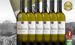 Vignobles Fabien Castaing - M Blanc sec Château Les Mailleries 6x75cl
