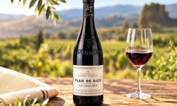 Domaine Lucien Tramier - AOC Plan de Dieu rouge 2024 La Colline Bio